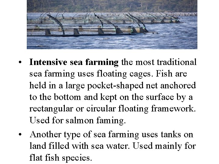  • Intensive sea farming the most traditional sea farming uses floating cages. Fish