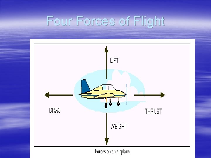Four Forces of Flight 