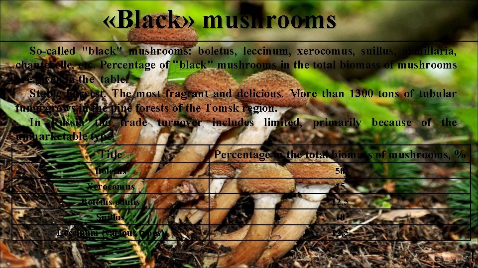  «Black» mushrooms So-called "black" mushrooms: boletus, leccinum, xerocomus, suillus, armillaria, chanterelle, etc. Percentage