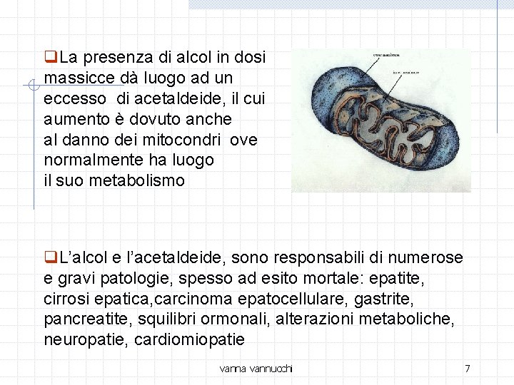 q. La presenza di alcol in dosi massicce dà luogo ad un eccesso di