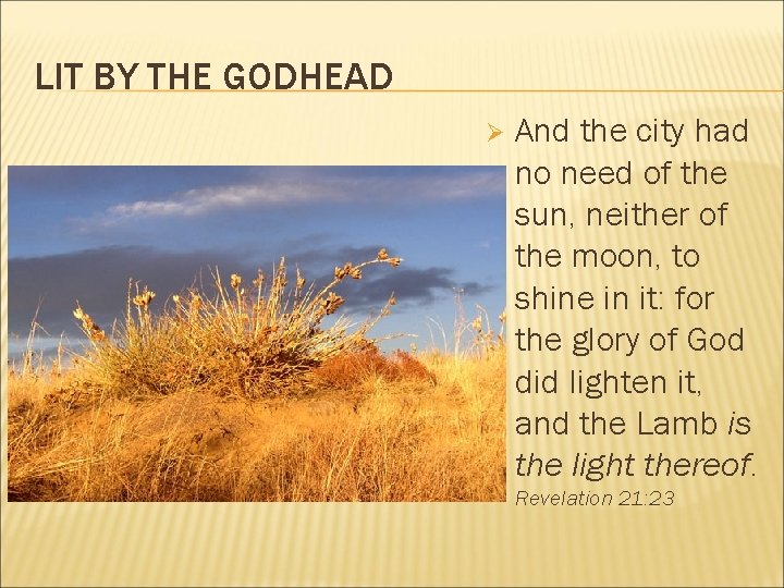 LIT BY THE GODHEAD Ø And the city had no need of the sun,