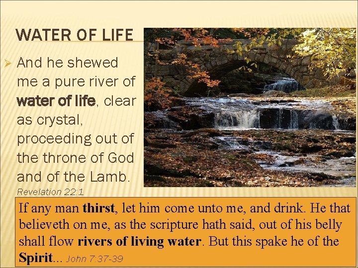 WATER OF LIFE Ø And he shewed me a pure river of water of