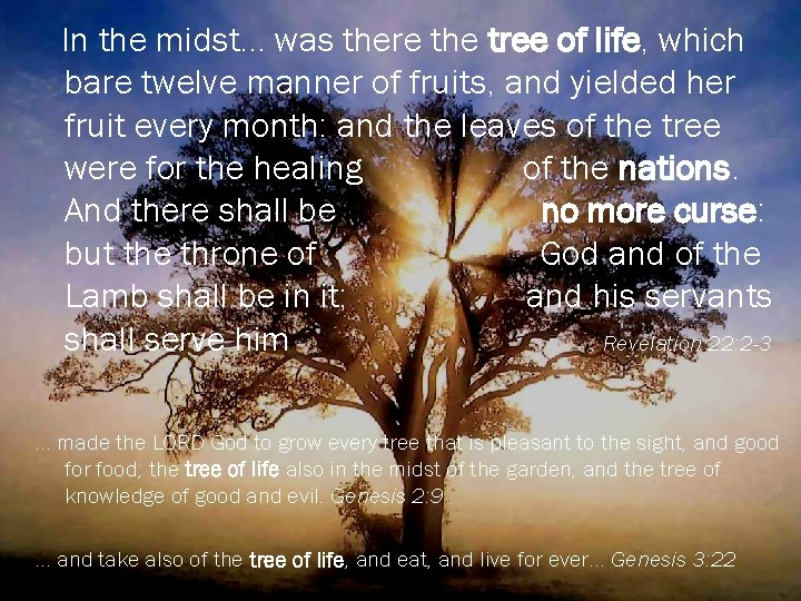 In the midst. . . was there the tree of life, which bare twelve