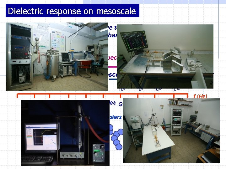 Dielectric response on mesoscale Dielectric spectroscopy is sensitive to relaxation processes in an extremely