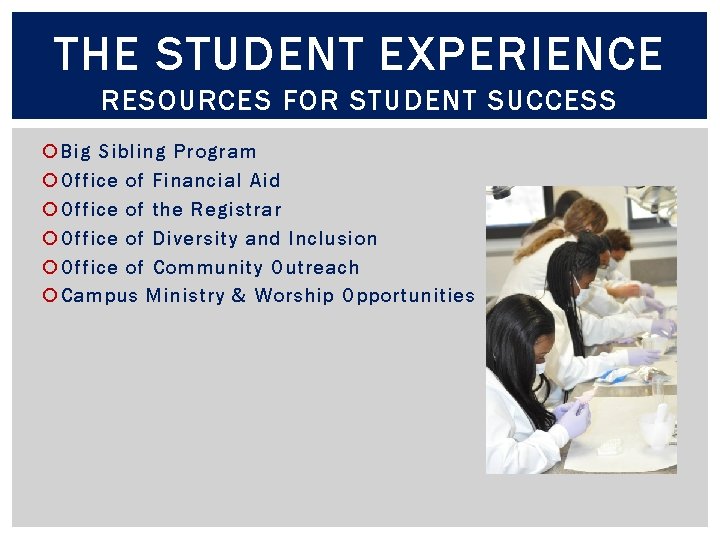 THE STUDENT EXPERIENCE RESOURCES FOR STUDENT SUCCESS Big Sibling Program Office of Financial Aid