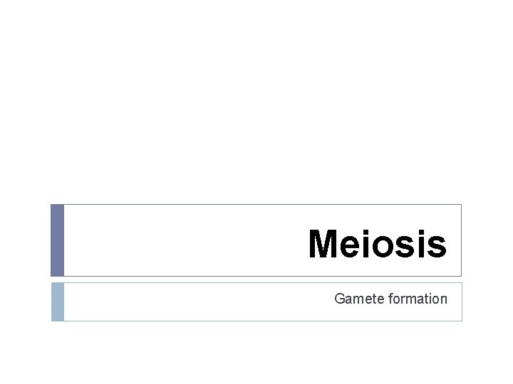 Meiosis Gamete formation 