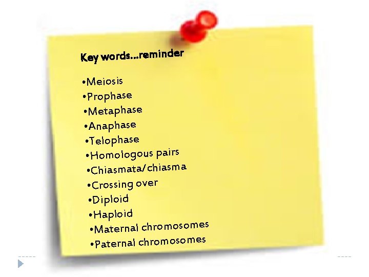 Key words…reminder • Meiosis • Prophase • Metaphase • Anaphase • Telophase • Homologous