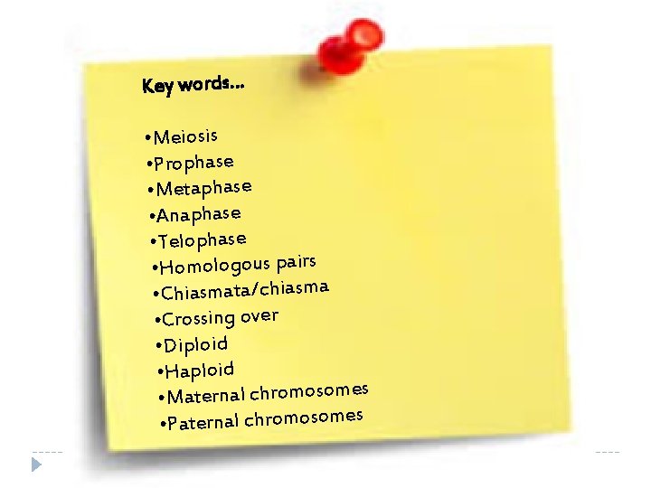 Key words… • Meiosis • Prophase • Metaphase • Anaphase • Telophase • Homologous