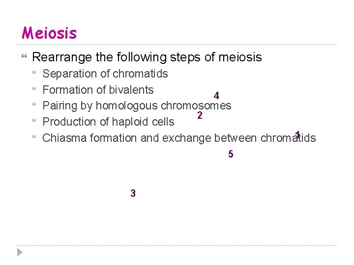 Meiosis Rearrange the following steps of meiosis Separation of chromatids Formation of bivalents 4