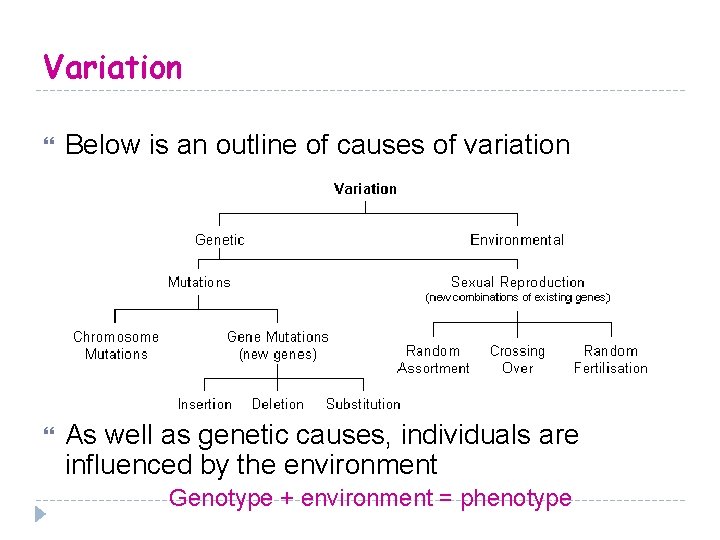 Variation Below is an outline of causes of variation As well as genetic causes,
