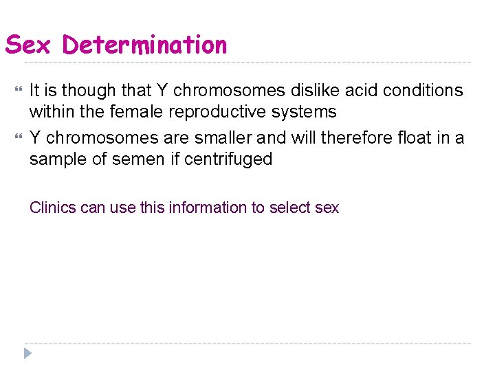 Sex Determination It is though that Y chromosomes dislike acid conditions within the female