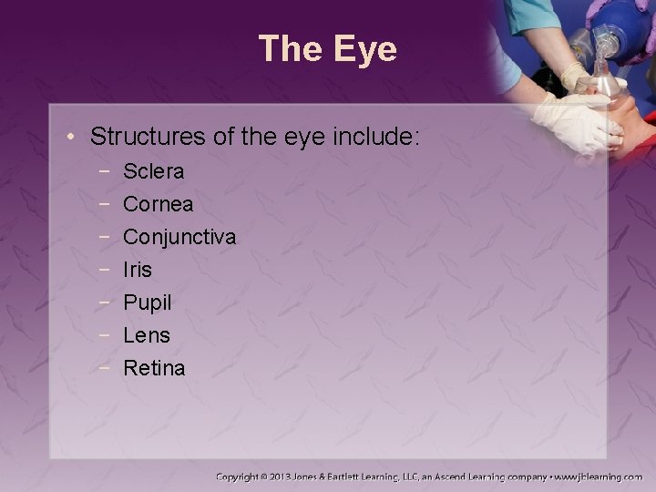 The Eye • Structures of the eye include: − − − − Sclera Cornea