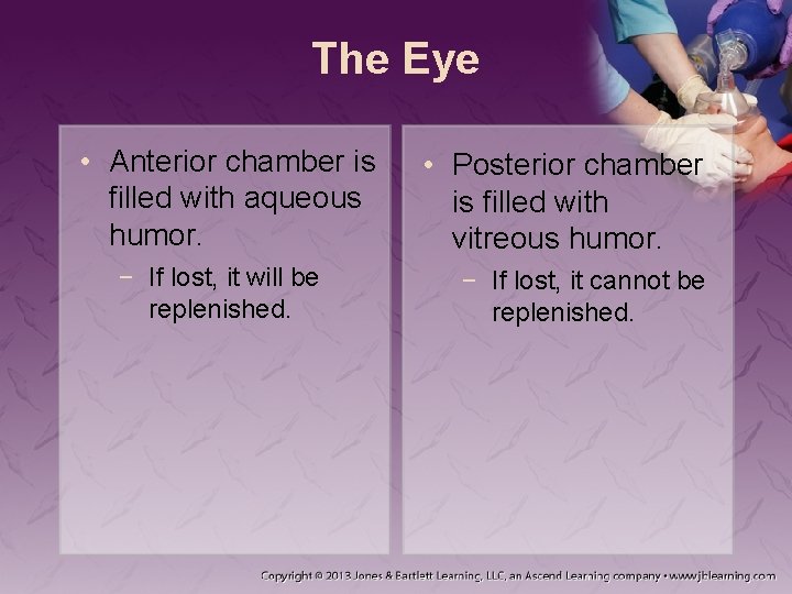 The Eye • Anterior chamber is filled with aqueous humor. − If lost, it