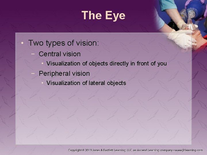 The Eye • Two types of vision: − Central vision • Visualization of objects