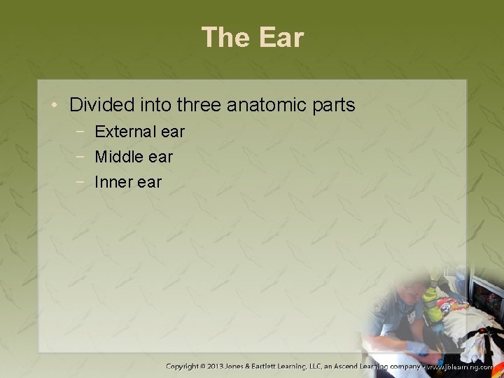 The Ear • Divided into three anatomic parts − External ear − Middle ear