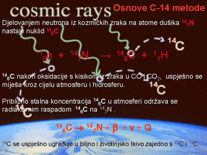 Osnove C-14 metode Djelovanjem neutrona iz kozmičkih zraka na atome dušika 147 N nastaje Osnove C-14 metode Djelovanjem neutrona iz kozmičkih zraka na atome dušika 147 N nastaje