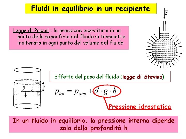 Fluidi in equilibrio in un recipiente F Legge di Pascal : la pressione esercitata