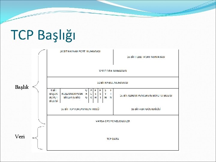 TCP Başlığı Başlık Veri 