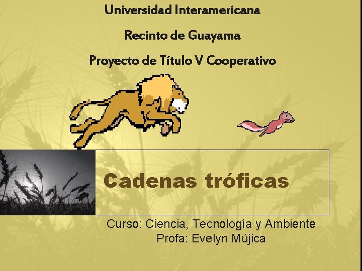 Universidad Interamericana Recinto de Guayama Proyecto de Título V Cooperativo Cadenas tróficas Curso: Ciencia,