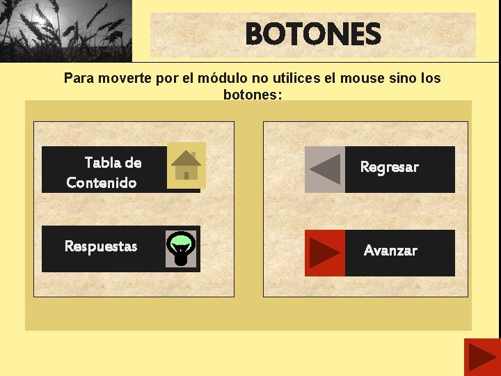 BOTONES Para moverte por el módulo no utilices el mouse sino los botones: Tabla