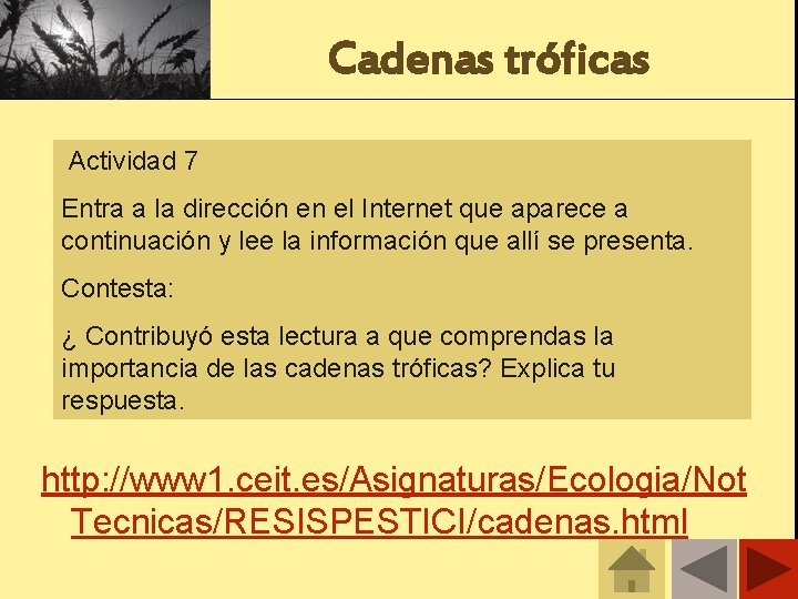 Cadenas tróficas Actividad 7 Entra a la dirección en el Internet que aparece a