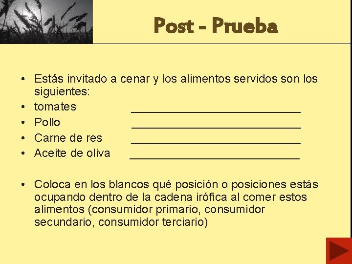 Post - Prueba • Estás invitado a cenar y los alimentos servidos son los