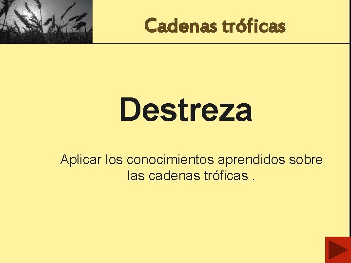 Cadenas tróficas Destreza Aplicar los conocimientos aprendidos sobre las cadenas tróficas. 