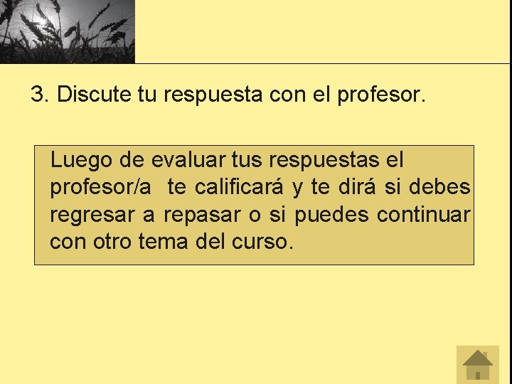 3. Discute tu respuesta con el profesor. Luego de evaluar tus respuestas el profesor/a