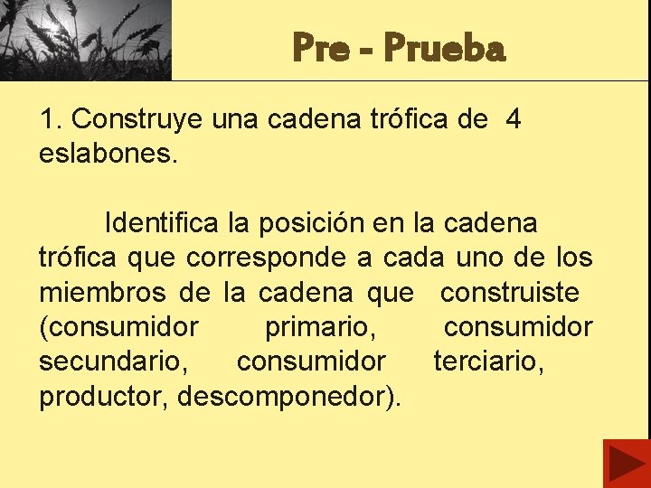 Pre - Prueba 1. Construye una cadena trófica de 4 eslabones. Identifica la posición