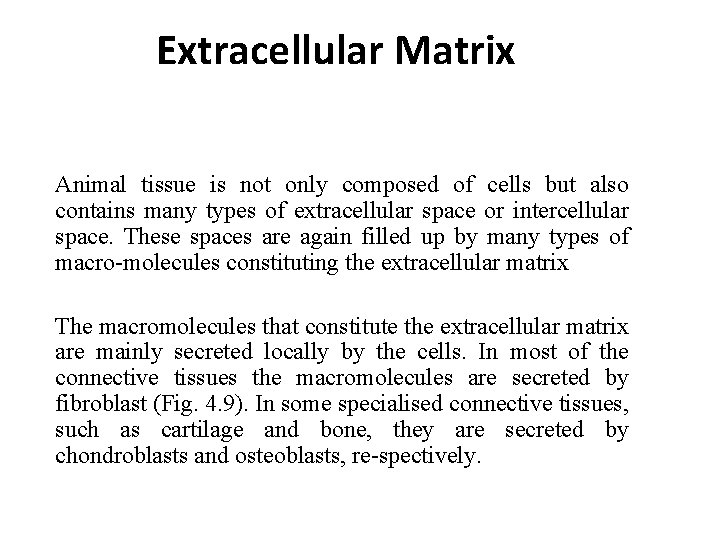 Extracellular Matrix Animal tissue is not only composed of cells but also contains many