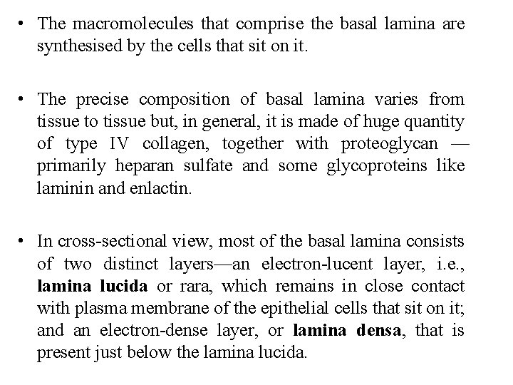  • The macromolecules that comprise the basal lamina are synthesised by the cells
