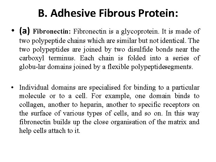 B. Adhesive Fibrous Protein: • (a) Fibronectin: Fibronectin is a glycoprotein. It is made