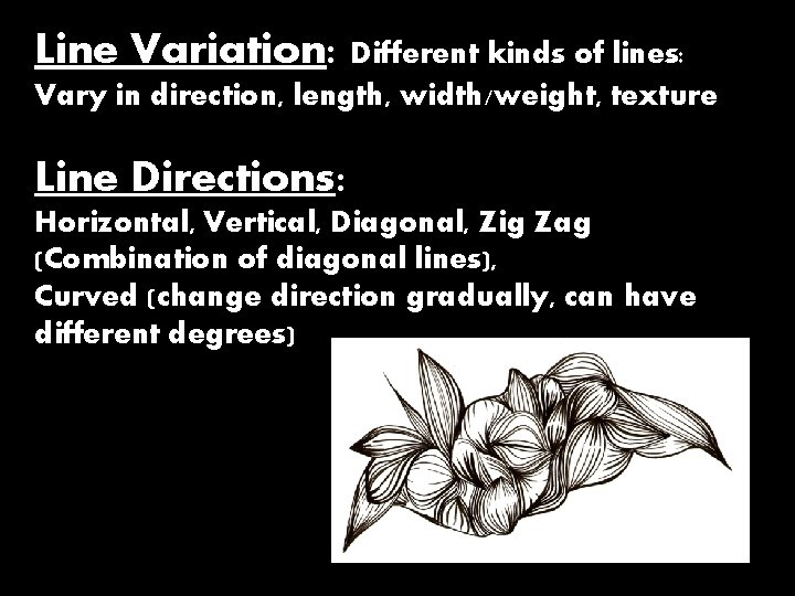 Line Variation: Different kinds of lines: Vary in direction, length, width/weight, texture Line Directions: