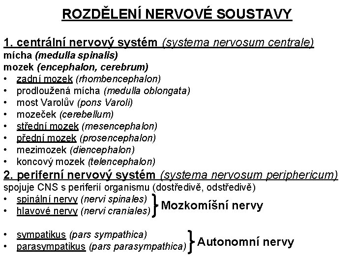 ROZDĚLENÍ NERVOVÉ SOUSTAVY 1. centrální nervový systém (systema nervosum centrale) mícha (medulla spinalis) mozek