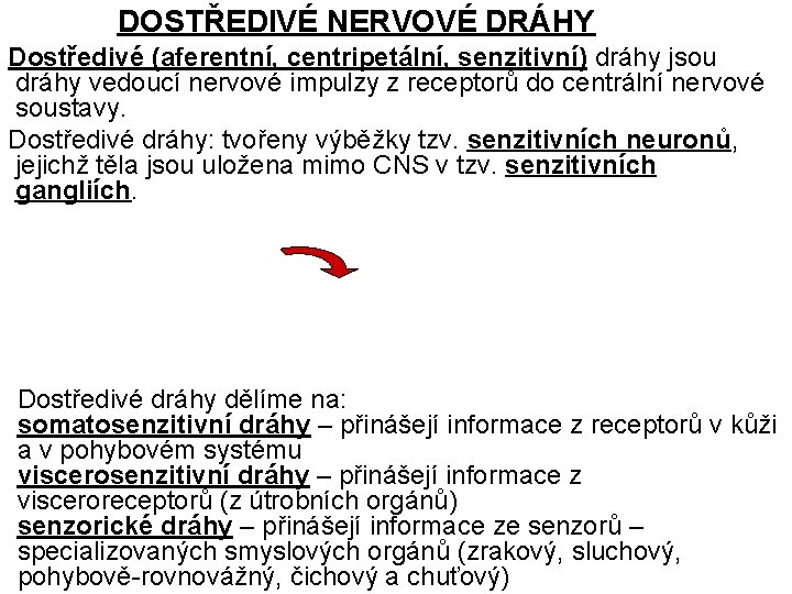 DOSTŘEDIVÉ NERVOVÉ DRÁHY Dostředivé (aferentní, centripetální, senzitivní) dráhy jsou dráhy vedoucí nervové impulzy z