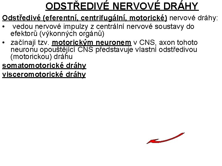 ODSTŘEDIVÉ NERVOVÉ DRÁHY Odstředivé (eferentní, centrifugální, motorické) nervové dráhy: • vedou nervové impulzy z