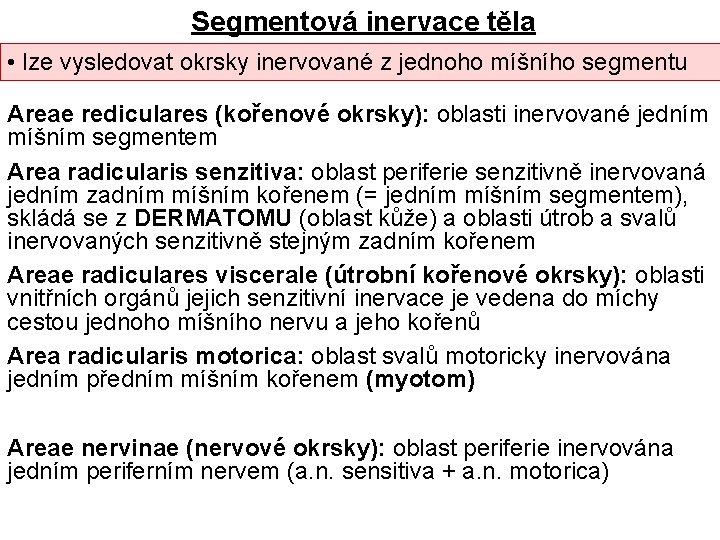 Segmentová inervace těla • lze vysledovat okrsky inervované z jednoho míšního segmentu Areae rediculares