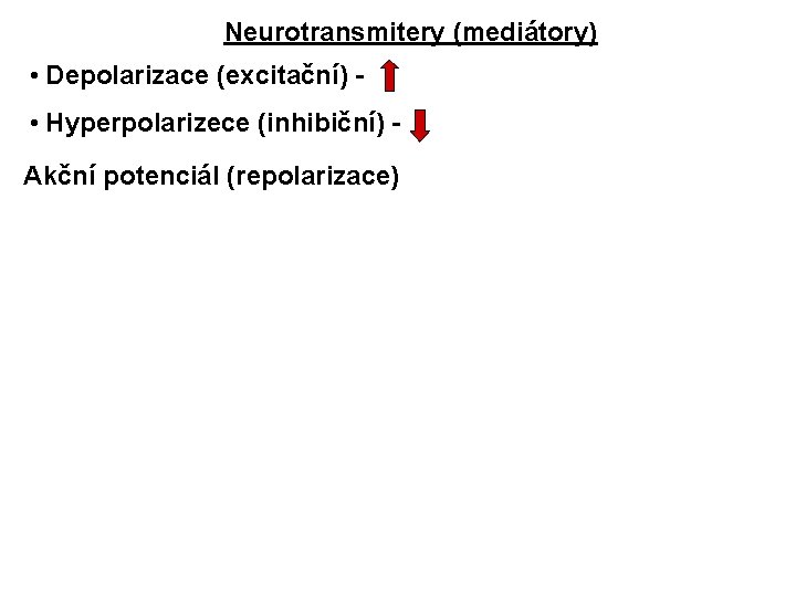 Neurotransmitery (mediátory) • Depolarizace (excitační) - • Hyperpolarizece (inhibiční) Akční potenciál (repolarizace) 
