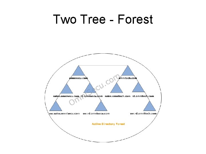 Two Tree - Forest 