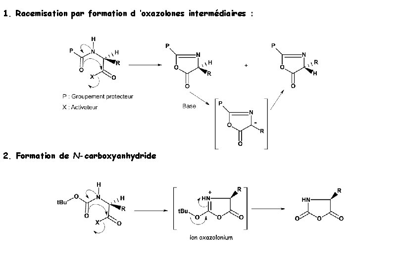 1. Racemisation par formation d ’oxazolones intermédiaires : 2. Formation de N-carboxyanhydride 