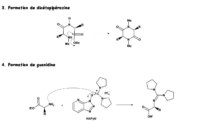 3. Formation de dicétopipérazine 4. Formation de guanidine 