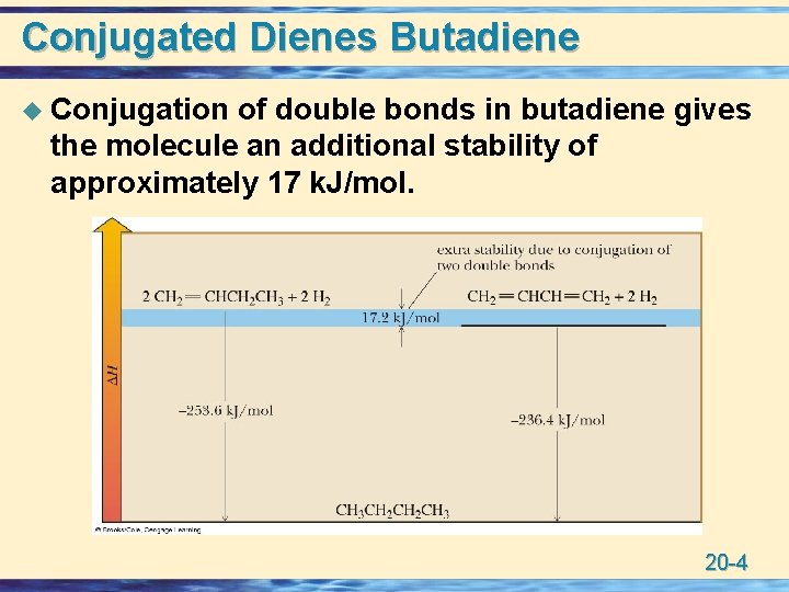 Conjugated Dienes Butadiene u Conjugation of double bonds in butadiene gives the molecule an
