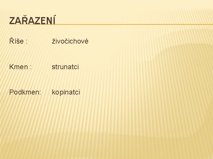 ZAŘAZENÍ Říše : živočichové Kmen : strunatci Podkmen: kopinatci 