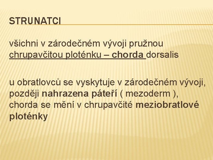 STRUNATCI všichni v zárodečném vývoji pružnou chrupavčitou ploténku – chorda dorsalis u obratlovců se