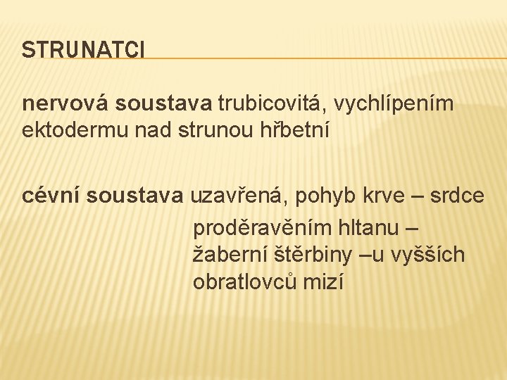 STRUNATCI nervová soustava trubicovitá, vychlípením ektodermu nad strunou hřbetní cévní soustava uzavřená, pohyb krve