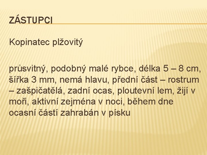 ZÁSTUPCI Kopinatec plžovitý průsvitný, podobný malé rybce, délka 5 – 8 cm, šířka 3
