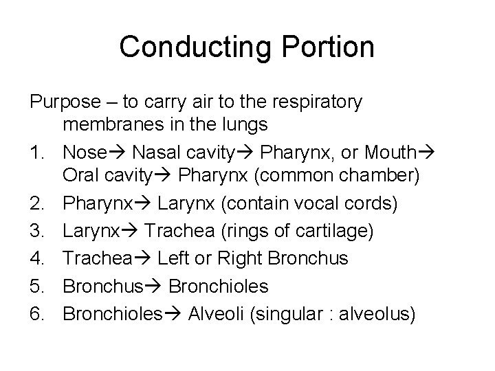 Conducting Portion Purpose – to carry air to the respiratory membranes in the lungs Conducting Portion Purpose – to carry air to the respiratory membranes in the lungs