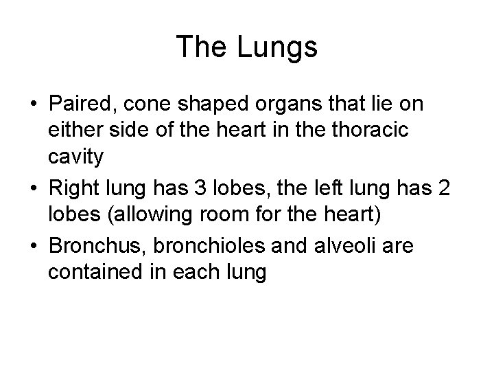 The Lungs • Paired, cone shaped organs that lie on either side of the The Lungs • Paired, cone shaped organs that lie on either side of the