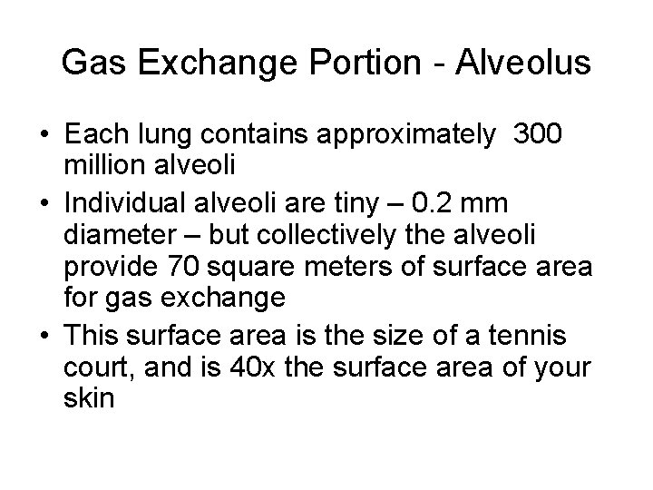 Gas Exchange Portion - Alveolus • Each lung contains approximately 300 million alveoli • Gas Exchange Portion - Alveolus • Each lung contains approximately 300 million alveoli •
