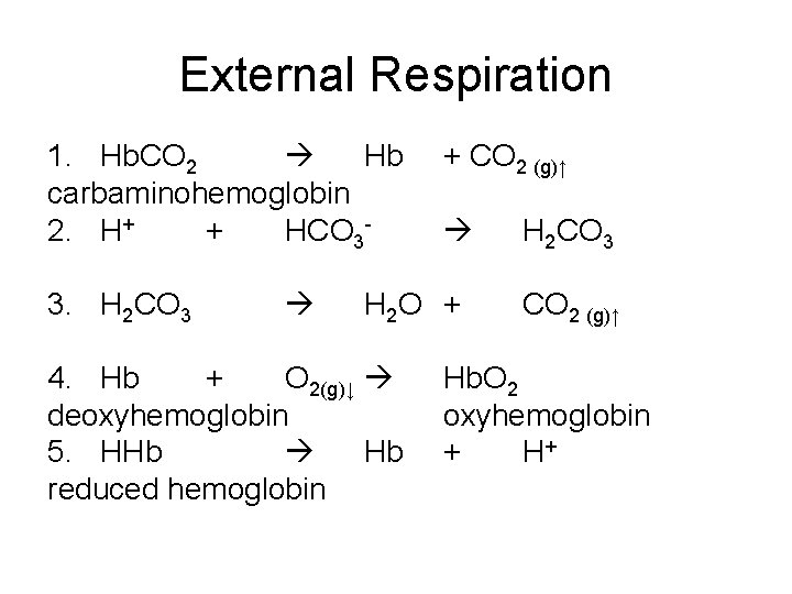 External Respiration 1. Hb. CO 2 Hb carbaminohemoglobin 2. H+ + HCO 33. H External Respiration 1. Hb. CO 2 Hb carbaminohemoglobin 2. H+ + HCO 33. H
